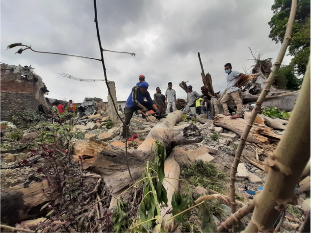 Pohon roboh menimpa 2 rumah, 1 luka ringan 3 jiwa mengungsi