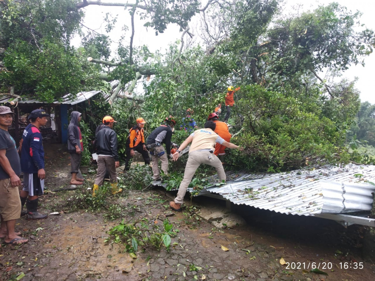 Pohon Tumbang Menimpa Bangunan Gereja di Desa Tlogowero Kec. Bansari