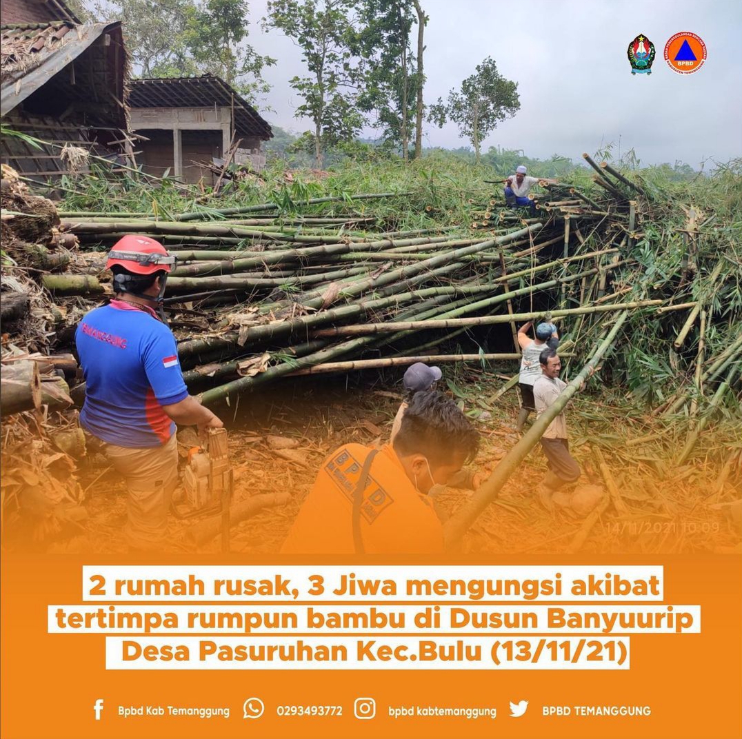 Tertimpa Rumpun Bambu, 2 Rumah Rusak 3 Jiwa Mengungsi di Dusun Banyuurip Kec Bulu